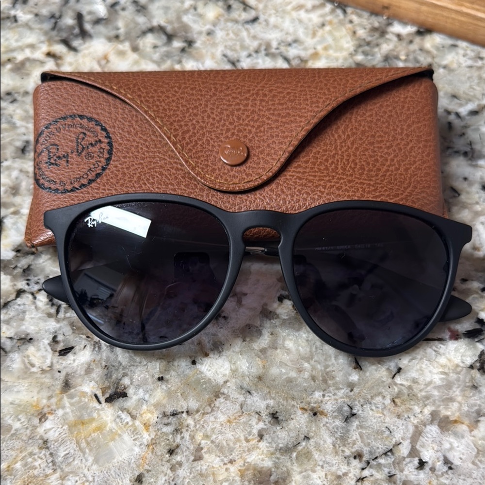 Ray-Ban Black Sunglasses
